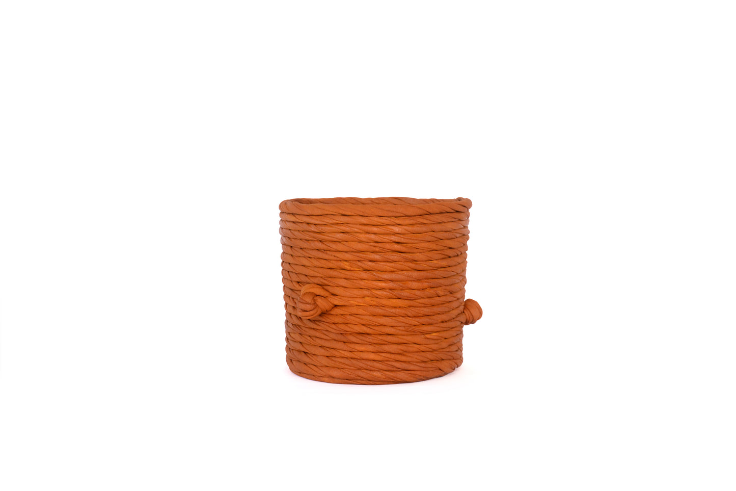Sucus Planter M - Dance